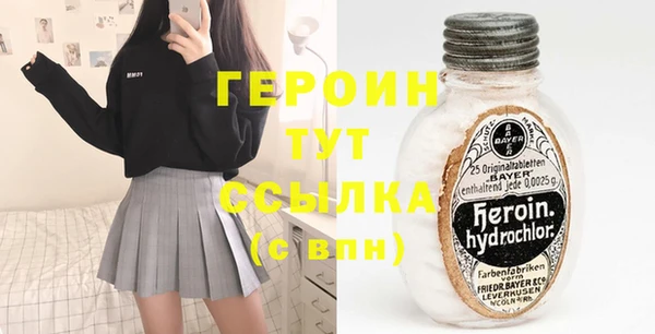 индика Пестово