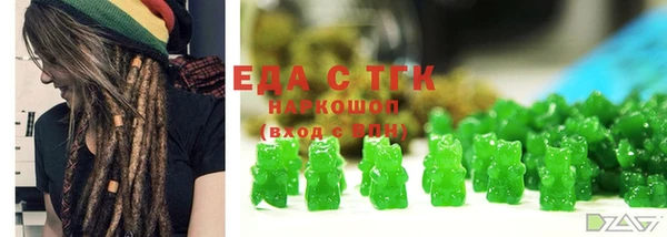 индика Пестово
