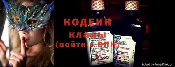 индика Пестово