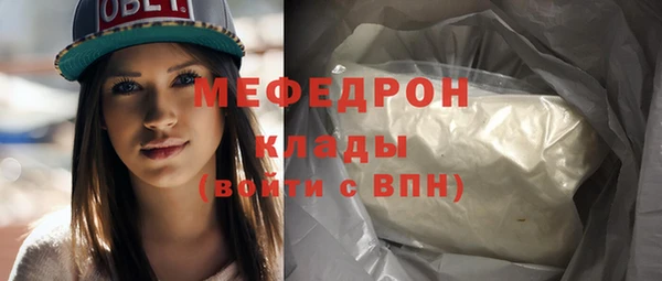 индика Пестово