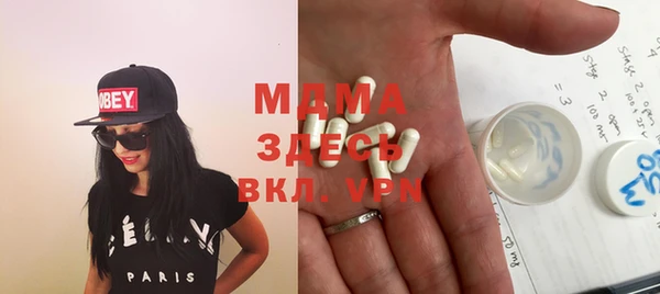 индика Пестово