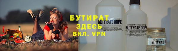 индика Пестово