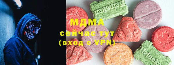 индика Пестово