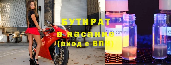 индика Пестово