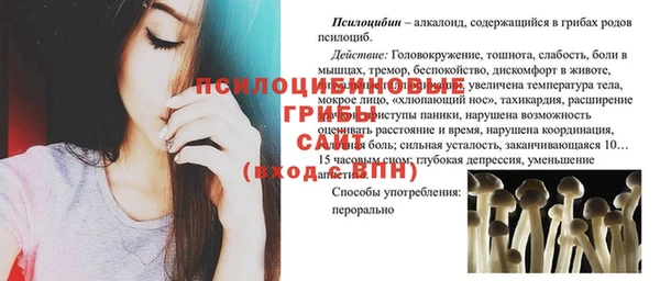 мет Переславль-Залесский
