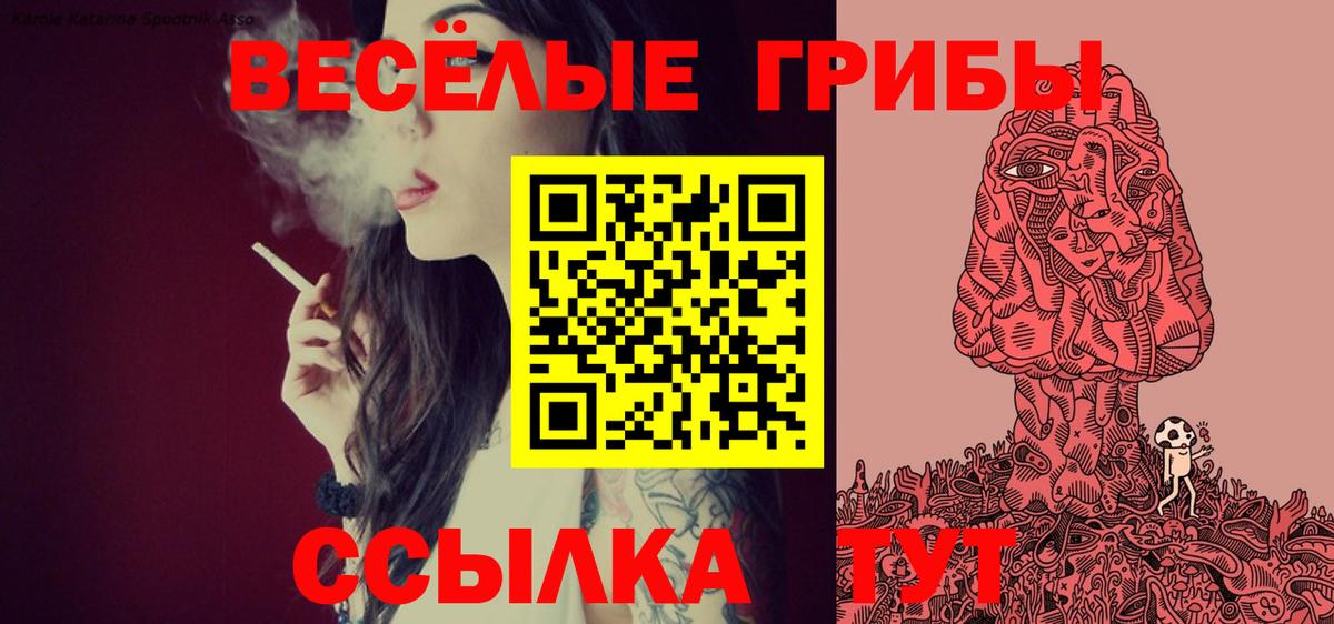 Псилоцибиновые грибы MAGIC MUSHROOMS  Вход с VPN  Майкоп 