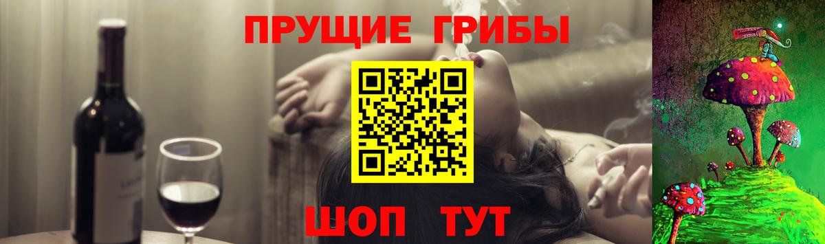 Псилоцибиновые грибы Psilocybine cubensis Майкоп