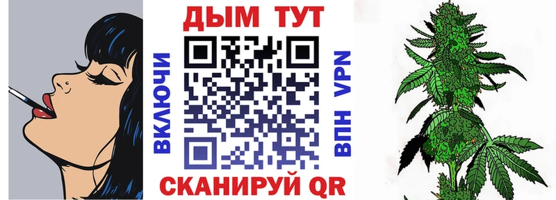 Шишки марихуана конопля Майкоп