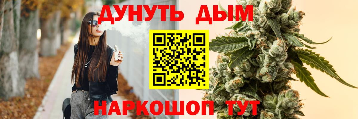 Марихуана гибрид Майкоп